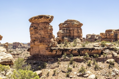 Canyonlands National Park June 2025